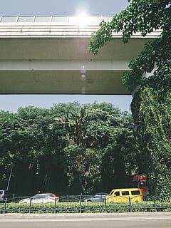 groene boom, veranda, chongqing, China, patio, auto, vervoer, voertuig, auto-, pergola, bus, schoolbus, straat, zon, bomen, auto's, brug, verkeer, tuin-, buitenshuis, prieel, boom, fabriek, ingebouwde structuur, architectuur, natuur, wijze van transport, landvoertuig, buitenkant van het gebouw, groene kleur, dag, groei, geen mensen, motorvoertuig, zonlicht, openbaar vervoer, gebouw, hemel, 4K, CC0, publiek domein, royaltyvrij