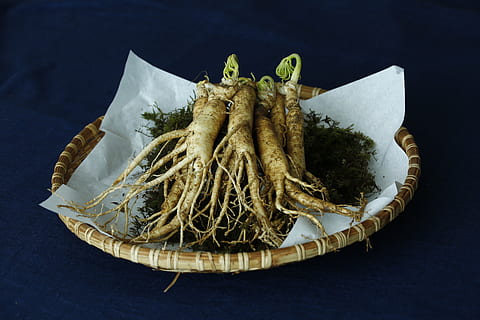 ginseng, menjar i beguda, menjar, frescor, marisc, a l'interior, primer pla, tir de l'estudi, cap gent, natura morta, animal, benestar, fons negre, alimentació saludable, taula, placa, llest per menjar, vista d’angle alt, crustaci, cistella, fons de colors, 5K, CC0, domini públic, lliure de regalies