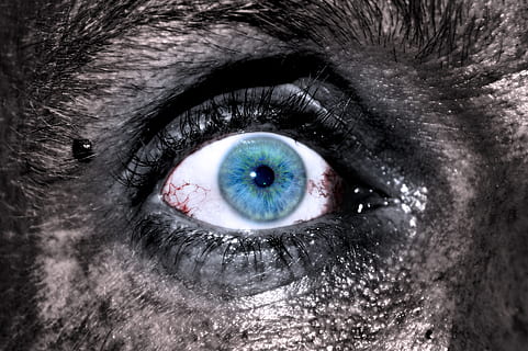 horror, Víspera de Todos los Santos, ojo, cabeza, monstruo, zombi, asqueroso, sucio, descompuesto, ojo negro, venas, rojo, noche, mal, salvaje, momia, retrato, ver, muerte, murió, de cerca, mineros, trabajadores del túnel, ojo humano, percepcion sensorial, vista, mirando a la cámara, parte del cuerpo humano, parte del cuerpo, pestaña, ojos azules, una persona, iris - ojo, globo del ojo, reflexión, adulto, cara humana, color aislado, ceja, mujer hermosa, 5K, CC0, dominio público, libre de derechos