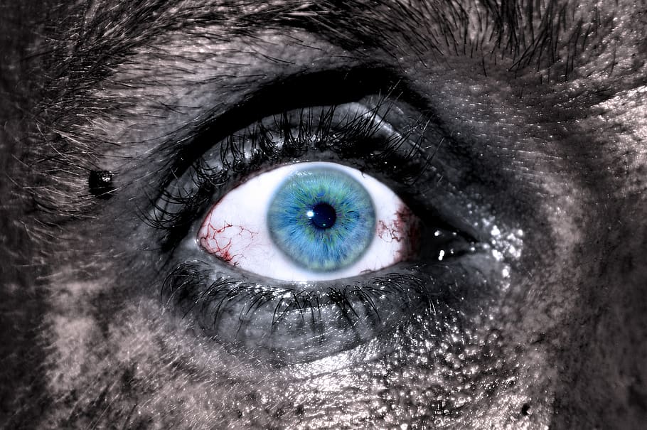 horror, Halloween, ull, cap, monstre, zombi, desagradable, brut, descompost, ull negre, venes, vermell, nit, dolent, salvatge, mòmia, repugnant, retrat, vista, mort, va morir, primer pla, miners, treballadors del túnel, ull humà, percepció sensorial, mirant la càmera, part del cos humà, part del cos, pestanya, ulls blaus, una persona, iris - ull, globus ocular, reflexió, adult, rostre humà, color aïllat, cella, dona guapa, 5K