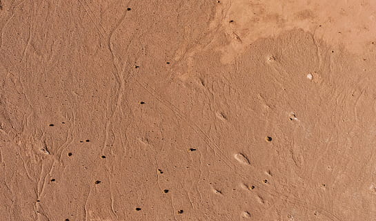 sorres grises, sorra, textura, cartró, sòl, a l'aire lliure, platja, forat, aspre, bronzejat, terra, fons, marc complet, patró, cap gent, marró, naturalesa, dia, empremta, llum solar, desert, humit, vista d’angle alt, imprimir, pista - empremta, beix, clima àrid, 2K, CC0, domini públic, lliure de regalies