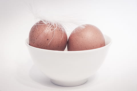 egg, brown egg, feather, easter, eggshell, food, nutrition, hen's egg, chicken product, organic eggs, brown shell, food and drink, white background, studio shot, indoors, freshness, healthy eating, cut out, wellbeing, close-up, bowl, white color, no people, still life, raw food, eggcup, meal, fragility, vulnerability, breakfast, boiled egg, crockery, 1080P, CC0, public domain, royalty free