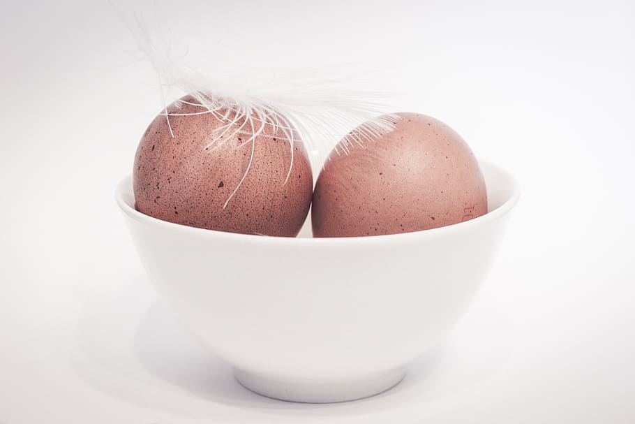 ovo, ovo marrom, pena, Páscoa, casca de ovo, Comida, nutrição, ovo de galinha, produto de frango, ovos orgânicos, concha marrom, comida e bebida, fundo branco, tiro do estúdio, dentro de casa, frescura, Alimentação saudável, Cortar fora, bem-estar, fechar-se, tigela, cor branca, ninguém, ainda vida, comida crua, eggcup, refeição, fragilidade, vulnerabilidade, café da manhã, ovo cozido, louças, 1080P
