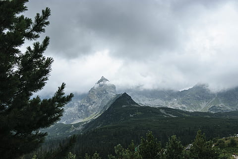 bjerglandskab, skyer, overskyet, dagslys, miljø, tåget, Skov, høj, landskaber, Moder Natur, bjerge, naturskøn, træer, vidvinkel fotografering, bjerg, skønhed i naturen, himmel, scenics - natur, sky - himmel, rolig scene, plante, træ, ro, bjergkæde, natur, ikke-urbane scene, ingen mennesker, landskab, dag, bjergtop, idyllisk, kold temperatur, udendørs, snedækket bjerg, 5K, CC0, offentligt domæne, royaltyfrie