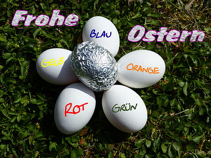 egg, easter, easter egg, easter nest, funny, artistically, ironically, aluminum foil, easter eggs, osterkarte, easter greeting, greeting card, easter theme, easter egg painting, boiled eggs, chicken eggs, colorful eggs, easter decorations, colorful, happy easter, map, fun, silver, postcard, text, communication, western script, food, food and drink, no people, celebration, number, nature, freshness, high angle view, close-up, holiday, plant, still life, vulnerability, 5K, CC0, public domain, royalty free