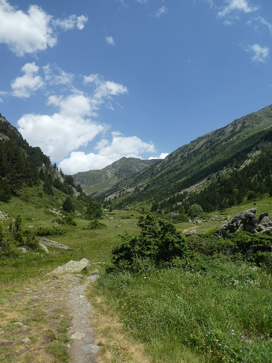 Camí, arbres, muntanya, andorra, cel, paisatge, naturalesa, medi ambient, herba, creixement, núvol - cel, planta, terra, desert, a l'aire lliure, verd, dia, cap gent, viatjar, bellesa a la natura, color verd, escenics - natura, Serra, rang, 2K