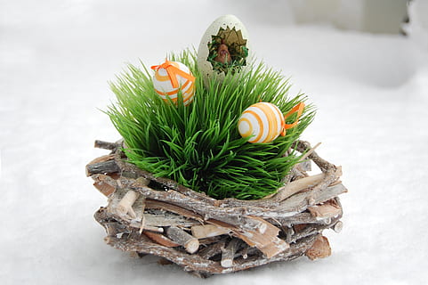 Ostern, Schnee, Winter, Osterei, Osternest, Feier, Natur, Lebensmittel, Dekoration, Weihnachten, Pflanze, Frische, keine Leute, Essen und Trinken, Urlaub, grüne Farbe, Fokus auf den Vordergrund, kalte Temperatur, Nahansicht, Tag, Weihnachtsbaum, weißer Hintergrund, 2K, CC0, gemeinfrei, lizenzfrei