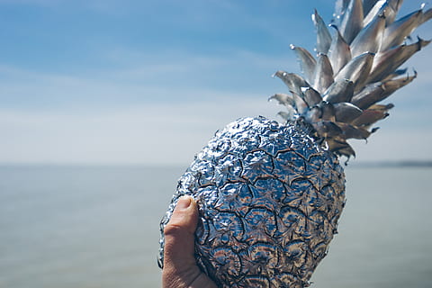 artificial silver pineapple, plant, sphere, bird, animal, canada, port stanley, tree, pineapple, fruit, water, summer, hand, art, vegetation, bush, thumb, beach, random, blue sky, lake, human hand, one person, human body part, nature, sea, holding, day, sky, focus on foreground, real people, close-up, personal perspective, tropical fruit, body part, outdoors, human limb, 5K, CC0, public domain, royalty free