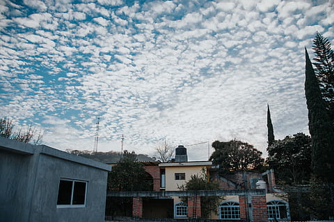 tagterrasse, blå skys, skyer, træer, huse, Mexico, bygning udvendig, bygget struktur, arkitektur, bygning, himmel, sky - himmel, træ, natur, boligområde, by, plante, dag, ingen mennesker, vindue, udendørs, lav vinkel visning, hus, sollys, 5K, CC0, offentligt domæne, royaltyfrie