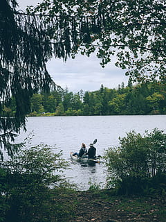 person kajakkpadling, fartøyet, transport, jolle, vannscooter, båt, utendørs, vann, dam, grå, robåt, kano, landskap, natur, fritidsaktiviteter, flora, anlegg, tre, ekte folk, innsjø, livsstil, fritidsaktivitet, skjønnhet i naturen, dag, sitter, menn, to mennesker, mennesker, naturskjønnhet - natur, ro, ikke-urbane scene, avslapning, samvær, parforhold, 4K, CC0, offentlig domene, opphavsrett gratis