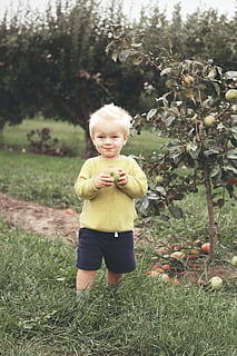 Kleinkind, Stehen, neben, Grün, blätterte, Pflanze, halten, Obst, Apfel, Apfel pflücken, Apfelbaum, Junge, Kind, süß, Bauernhof, Feld, Spaß, Glück, Person, jung, Kindheit, Kamera betrachten, echte Menschen, eine Person, Porträt, Land, Gras, Wachstum, in voller Länge, Natur, Unschuld, Freizeitbeschäftigung, Legere Kleidung, Vorderansicht, Tag, draußen, 2K, CC0, gemeinfrei, lizenzfrei