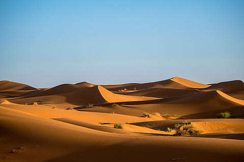 carta da parati del deserto 3d, duna di sabbia, deserto, sabbia, scenics - natura, paesaggio, cielo, terra, ambiente, clima arido, clima, scena tranquilla, la tranquillità, scena non urbana, cielo sereno, natura, bellezza nella natura, nessuno, a distanza, copia spazio, blu, all'aperto, atmosferico, semi arido, 5K, CC0, dominio pubblico, privo di copyright