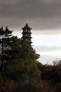 agoda tempel, arkitektur, bygning, Spir, tårn, London, kew haver, Det Forenede Kongerige, helligdom, tempel, tilbede, abies, træ, plante, gran, pagode, by, metropol, by-, himmel, sky - himmel, bygget struktur, bygning udvendig, natur, religion, tro, ingen mennesker, spiritualitet, sted for tilbedelse, vækst, udendørs, 4K, CC0, offentligt domæne, royaltyfrie