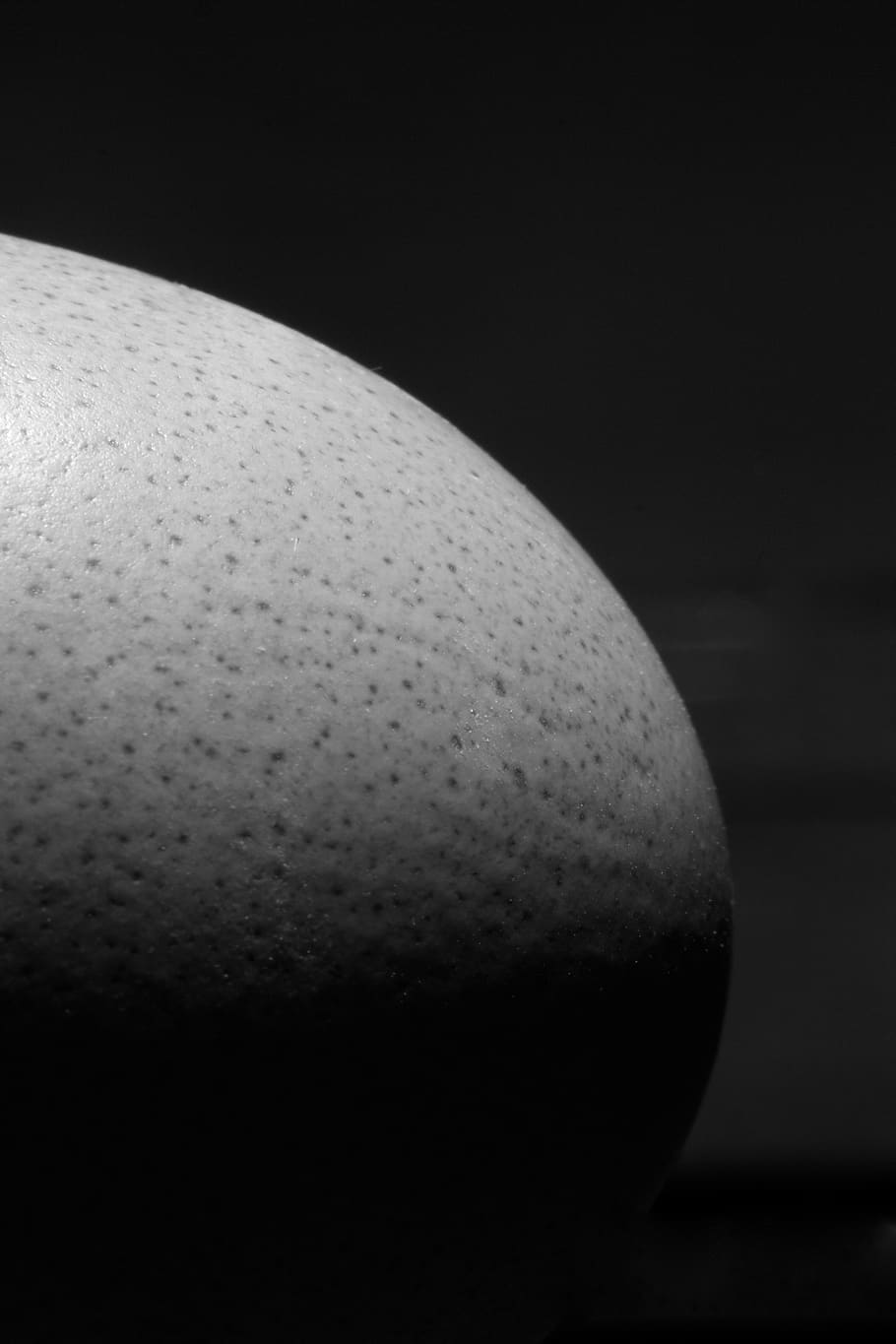 ou, macro, detall, textura, corba, bandw, a l'interior, menjar, primer pla, menjar i beguda, alimentació saludable, benestar, tir de l'estudi, cap gent, sol objecte, fons negre, fruita, estil de vida saludable, naturalesa, còpia espai, frescor, 4K