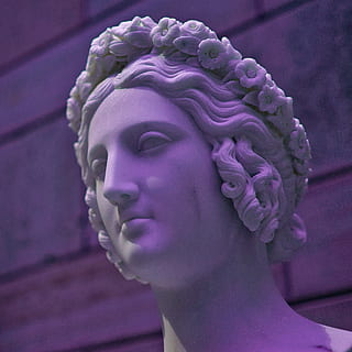 busto dalla testa bianca, capo, arte, statua, scultura, persona, umano, abbigliamento, capi di abbigliamento, figurina, viola, dentro, splendore, avvicinamento, design, marmo, foschia, luce, artigianato, Rose, rappresentazione umana, rappresentazione, arte e artigianato, nessuno, somiglianza femminile, somiglianza maschile, creatività, mestiere, fiore, concentrarsi sulle conoscenze acquisite, colore rosa, materiale lapideo, architettura, all'aperto, idolo, statua d'arte, 4K, CC0, dominio pubblico, privo di copyright