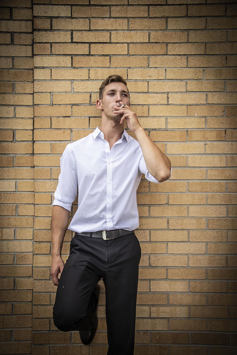 retrat, home, pose, humà, cara, masculí, persona, gent, adult, jove, vell, gent gran, expressió, mira, determinat, barba, pell, corbata, ombra, paio, bart, cabell, maco, ulls, reflexiu, maó, paret de maó, una persona, vista frontal, paret, funció de construcció de parets, adult jove, de peu, homes, tres quarts de longitud, persones reals, roba casual, home jove, mascles, activitat d'oci, arquitectura, estructura construïda, contemplació, 5K