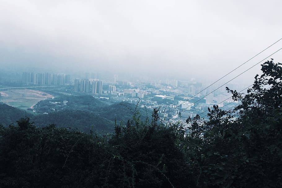 Xina, Changsha, arbre, planta, cel, arquitectura, boira, estructura construïda, exterior de l'edifici, cap gent, naturalesa, dia, creixement, ciutat, edifici, vista d’angle alt, tranquil·litat, bellesa a la natura, a l'aire lliure, cable, paisatge, paisatge urbà, electricitat, exterior d’edifici d’oficines, gratacels, 2K