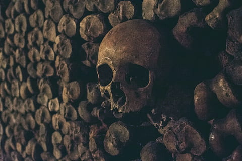 marginea peretelui craniului, schelet uman, craniu uman, OS uman, Înfricoșător, os, reprezentare umană, a închide, schelet, în interior, trecutul, istorie, groază, natură moartă, frică, craniu, reprezentare, religie, 5K, CC0, domeniu public, fără drepturi de autor