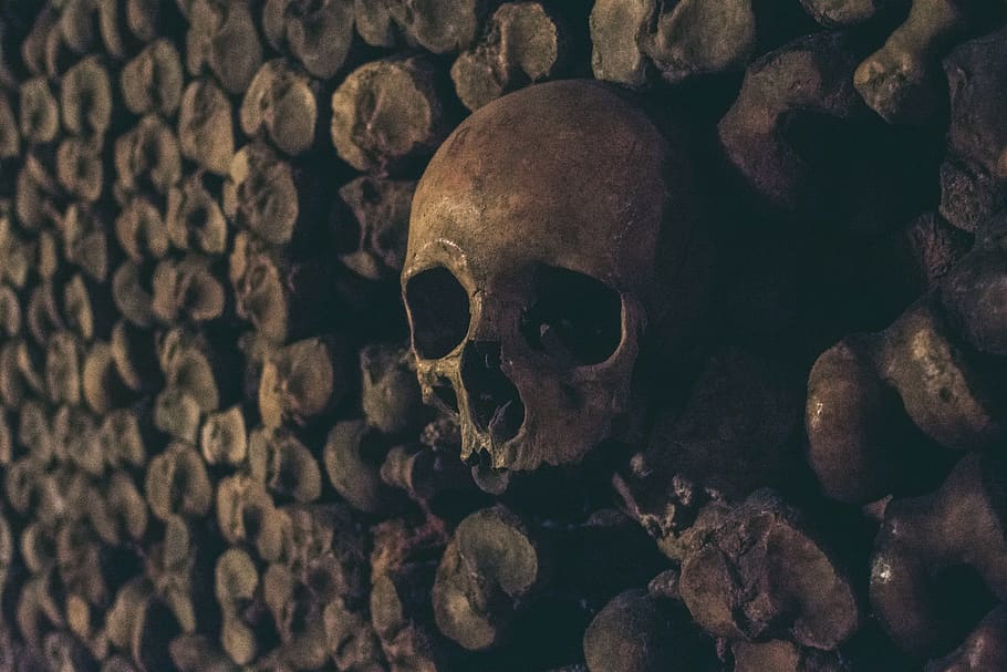 marginea peretelui craniului, schelet uman, craniu uman, OS uman, Înfricoșător, os, reprezentare umană, a închide, schelet, în interior, trecutul, istorie, groază, natură moartă, frică, craniu, reprezentare, religie, 5K