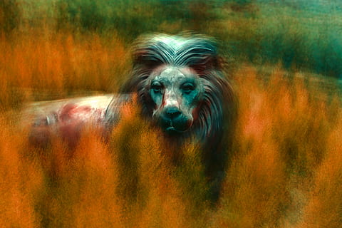 bleu, marron, peinture de lion, Lion, sculpture, modèle, texture, en couches, jardin, couche, effet, pastel, éthéré, atmosphérique, Conte de fée, impressionnisme, effet de peinture, effet d'huile, pays des fées, Fée, exposition multiple, multicouche, sculpture de jardin, animal, cheval, la nature, mammifère, crinière, en plein air, herbe, faune, animaux à l'état sauvage, personne, tête d'animal, beauté dans la nature, scène rurale, ferme, Prairie, plaine, fermer, poney, pâturage, lion - félin, étalon, 5K, CC0, domaine public, libre de droits