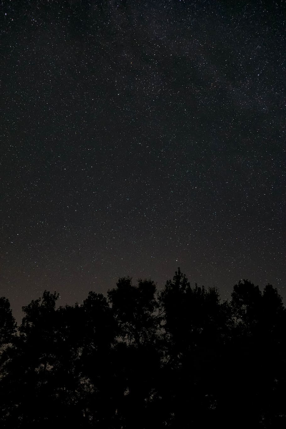 noc, temný, stromy, stín, galaxie, prostor, hvězd, nebe, les, tábor, táborák, lepení, přátelé, strom, rostlina, hvězda - prostor, klid, astronomie, krása v přírodě, scenics - příroda, nízký úhel pohledu, nikdo, klidné scény, silueta, Příroda, růst, hvězda, idylický, venku, 5K