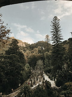 green-leafed trees, adventure, clouds, cold, conifer, daylight, environment, evergreen, fog, forest, landscape, mountain, nature, park, pine trees, scenery, scenic, season, sky, trees, weather, tree, plant, architecture, built structure, building exterior, cloud - sky, no people, day, building, history, the past, high angle view, religion, place of worship, travel destinations, travel, outdoors, 4K, CC0, public domain, royalty free