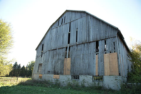 Kanada, uxbridge, nebe, architektura, stavba, exteriér budovy, opuštěný, Příroda, rostlina, čisté nebe, nikdo, pole, den, stodola, zemědělské budovy, starý, tráva, přistát, budova, dřevo - materiál, venku, hospodařit, 5K, CC0, veřejná doména, bez autorských práv