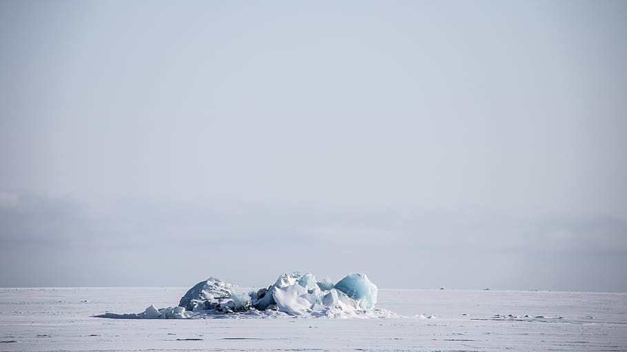 ice berg, temperatura de fred, neu, hivern, gel, congelat, mar, aigua, naturalesa, medi ambient, còpia espai, paisatge, clima polar, cap gent, cel, animals a la natura, dia, tranquil·litat, bellesa a la natura, temes d'animals, a l'aire lliure, flotant a l'aigua, 2K