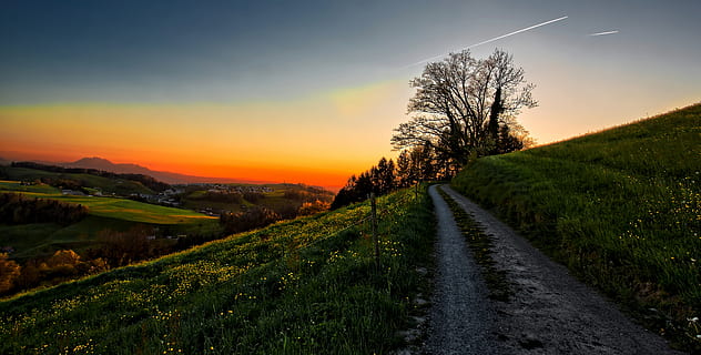 sunset, sun, tree, spring, flowers, mountai, alps, curve, road, sky, plant, the way forward, direction, scenics - nature, landscape, beauty in nature, environment, tranquil scene, tranquility, nature, transportation, land, field, diminishing perspective, no people, grass, outdoors, long, 5K, CC0, public domain, royalty free