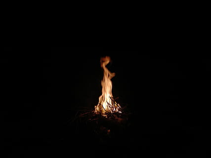 acampar, Egipto, sinai, negro, noche, chispa, fuego, ardiente, llama, fuego - fenómeno natural, calor - temperatura, copia espacio, oscuro, fondo negro, movimiento, color naranja, hoguera, naturaleza, nadie, foto de estudio, adentro, brillante, de cerca, leña, madera, 4K, CC0, dominio público, libre de derechos