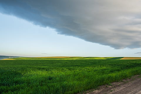 greenfield, blanc, des nuages, palouse, champ, États Unis, en plein air, prairie, champ de céréales, ciel, paysage, ciel dramatique, nuage, vert, voie, plaine, orage, nuage d'orage, orageux, blé, la palouse, chemin de terre, route, scène tranquille, tranquillité, paysages - nature, beauté dans la nature, environnement, nuage - ciel, terre, couleur verte, herbe, plante, scène rurale, personne, agriculture, croissance, idyllique, la nature, scène non urbaine, 5K, CC0, domaine public, libre de droits