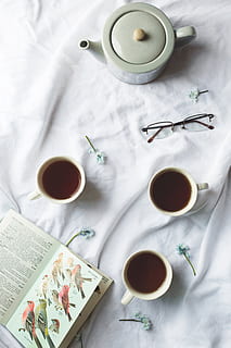 bird book, tea time photo, Flowers, Flatlay, Glasses, Spring, Bird, food and drink, drink, cup, mug, refreshment, tea, table, indoors, tea - hot drink, high angle view, hot drink, freshness, directly above, paper, tea cup, no people, flower, coffee cup, newspaper, crockery, teapot, black tea, 4K, CC0, public domain, royalty free