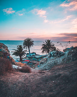 naturskøn, udsigt, ocean, dagtimerne, strand, skyer, kokos træer, daggry, miljø, horisont, idyllisk, natur, Palmer, paradis, fredelig, landskab, hav, marinemaleri, himmel, solopgang, solnedgang, rolig, tropisk, vand, sky - himmel, ro, scenics - natur, rolig scene, skønhed i naturen, ingen mennesker, jord, horisont over vand, plante, forladt, træ, udendørs, 4K, CC0, offentligt domæne, royaltyfrie
