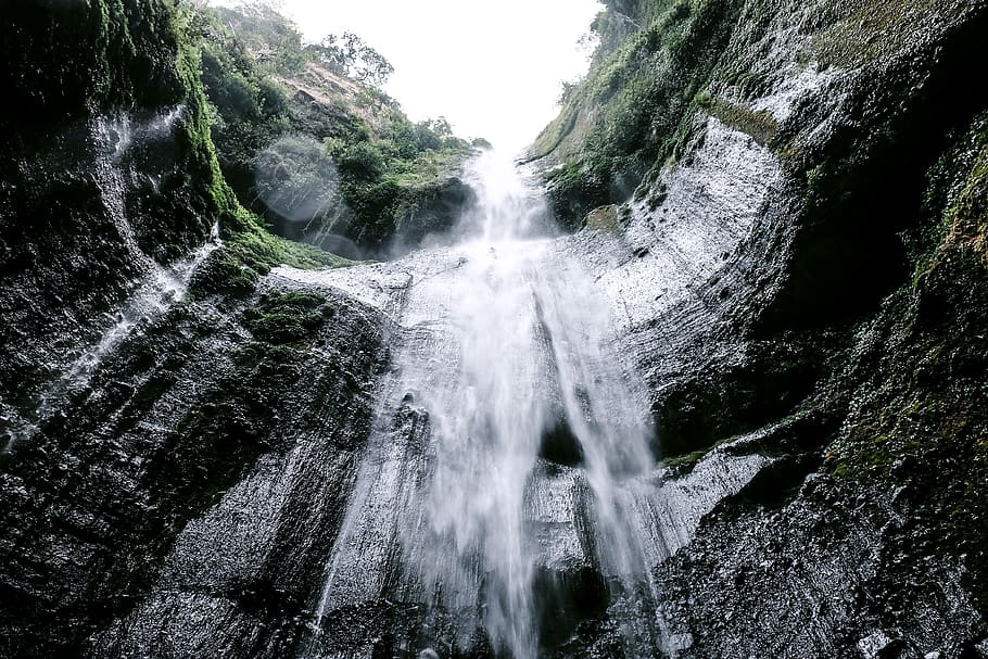 indonèsia, Java oriental, selva tropical, tropical, tròpic, jungla, illa, cascada, Sud-est asiàtic, asia, naturalesa, viatjar, exuberant, illa de Java, bosc, escenics - natura, moviment, bellesa a la natura, aigua, rock, terra, arbre, exposició llarga, rock - object, cap gent, dia, planta, moviment borrós, sòlid, aigua que flueix, formació de roca, a l'aire lliure, que flueix, poder a la natura, caient aigua, 4K