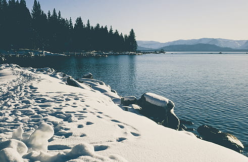 rocks, seashore, covered, snow, coastline, landscape, matte, ocean, shoreline, tranquil, background, beauty, chilling, coastal, cold chill, dangerous, dusk, zing, fresh, rocky, seacoast, seascape, slippery, snow covered, snow covered rocks, snow covered seashore, snowfall, snowy coast, tranquility, winter, winter coastline, winter season, wintertime, water, cold temperature, beauty in nature, scenics - nature, tranquil scene, lake, nature, sky, tree, day, non-urban scene, no people, mountain, frozen, plant, 2K