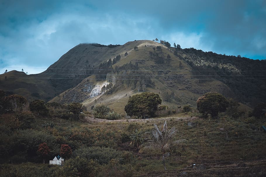 arbres a la muntanya, turó, naturalesa, a l'aire lliure, camp, altiplà, sumut, llac toba, samosir, bonic, batak, danau toba, fons de pantalla, humor, natural, vista, indonèsia, fotògrafs, toba, pendent, muntanya, cel, escenics - natura, bellesa a la natura, paisatge, medi ambient, escena tranquil·la, núvol - cel, escena no urbana, tranquil·litat, planta, Serra, dia, cap gent, terra, remot, rock, clima, cim de muntanya, formació, clima àrid, 5K
