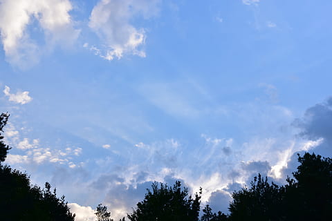 himmel, sky skyer, stråler, sommer, lys, landskab, træ, morgen, ray, daggry, sol, natur, sollys, sky - himmel, plante, skønhed i naturen, lav vinkel visning, ro, scenics - natur, vækst, rolig scene, ingen mennesker, dag, udendørs, silhuet, blå, idyllisk, ikke-urbane scene, trætop, 5K, CC0, offentligt domæne, royaltyfrie