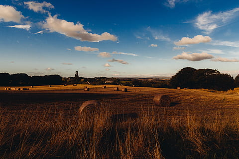 granja, campos, heno, rollos, hierba, país, cielo, nubes, sol, nube - cielo, campo, paisaje, ambiente, tierra, planta, escena tranquila, tranquilidad, paisajes - naturaleza, agricultura, belleza en la naturaleza, bala, naturaleza, escena rural, nadie, crecimiento, al aire libre, 5K, CC0, dominio público, libre de derechos