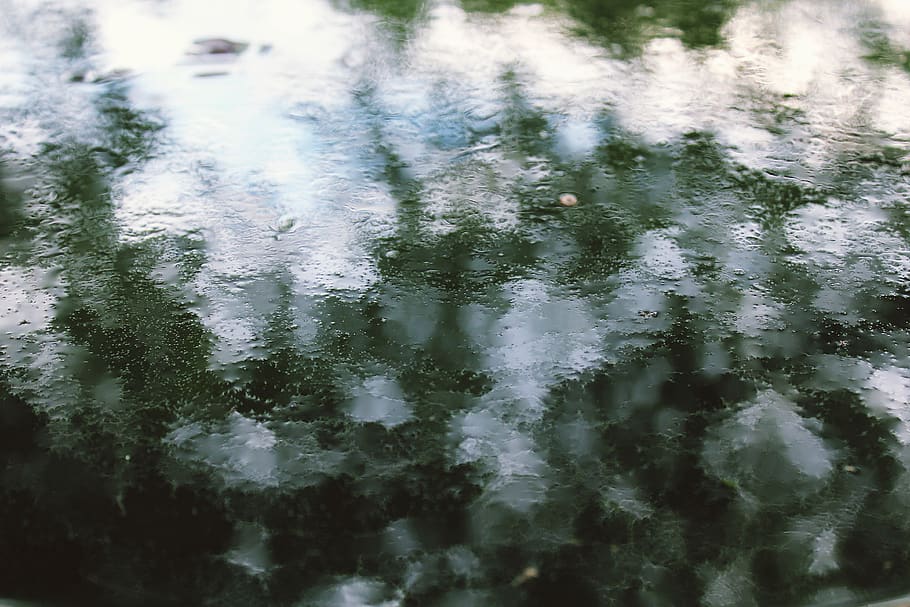 aigua, tèrbol, ennuvolat, algues, reflexió, arbres, llum, brillant, superfície, birdbath, bombolles, verd, espés, núvols, cel, textura, davant del mar, naturalesa, cap gent, dia, tranquil·litat, planta, llac, vista d’angle alt, bellesa a la natura, a l'aire lliure, marc complet, temperatura de fred, fons, arbre, hivern, color verd, 4K