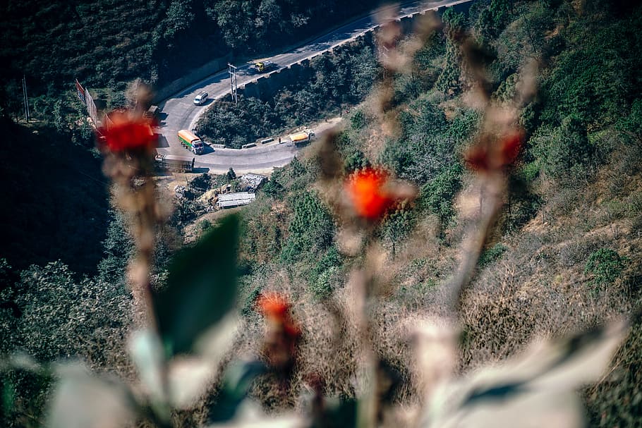 autopista sinuosa, planta, naturalesa, transport, enfocament selectiu, manera de transport, dia, vista d’angle alt, arbre, moviment, cap gent, terra, creixement, muntanya, carretera, vermell, bellesa a la natura, centrar-se en fons, bosc, moviment borrós, transport per ferrocarril, 5K