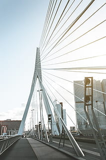 bridge during daytime, architecture, bridge, built structure, transportation, bridge - man made structure, connection, sky, engineering, suspension bridge, nature, city, cable-stayed bridge, travel destinations, day, travel, cable, tourism, steel cable, clear sky, outdoors, modern, skyscraper, 4K, CC0, public domain, royalty free
