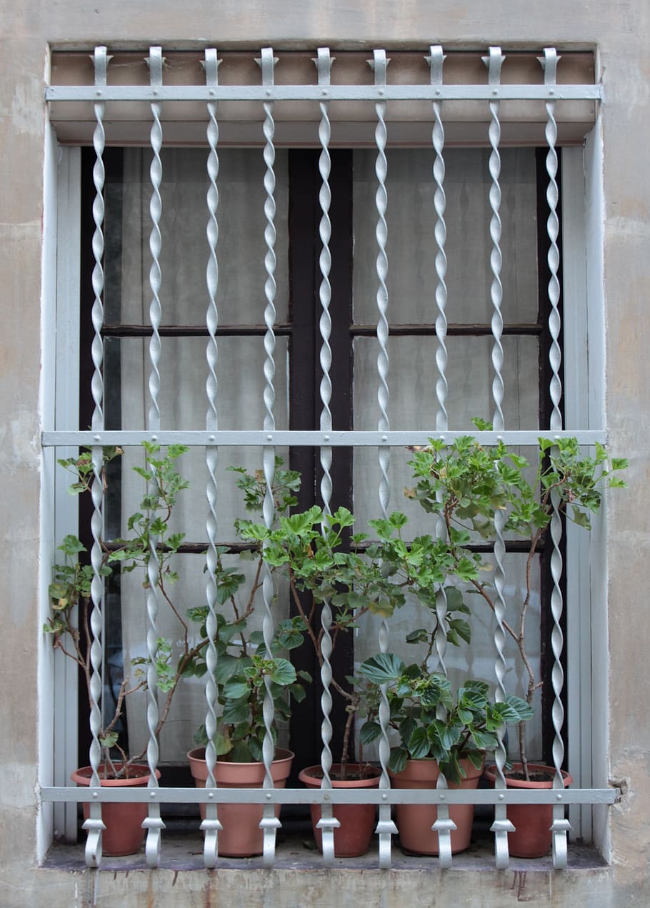 finestra, decorativo, design, architettura, arte, fiori, guazzabuglio, crescita, pianta, pianta in vaso, nessuno, natura, di fila, colore verde, vaso di fiori, foglia, mensola, parte vegetale, in casa, fianco a fianco, giorno, cremagliera, grande gruppo di oggetti, metallo, giardinaggio, 4K