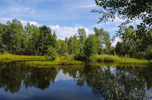 zomer, achtergrond, bomen, lopen, schoonheid, groen, dorp, landelijk, rivier-, landschap, natuur, vijver, boom, fabriek, reflectie, water, kalmte, hemel, meer, groei, scenics - natuur, schoonheid in de natuur, rustige scène, groene kleur, geen mensen, niet-stedelijke scène, dag, wolk - lucht, waterkant, idyllisch, buitenshuis, 4K, CC0, publiek domein, royaltyvrij