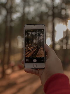 iphone, iphone 8, rám, stromy, les, borovice, jablko, lidské ruky, bezdrátové technologie, ruka, chytrý telefon, technologie, přenosné informační zařízení, hospodářství, sdělení, část lidského těla, jedna osoba, mobilní telefon, skutečných lidí, fotografická témata, obrazovka, zaměřit se na popředí, životního stylu, osobní perspektivy, spojení, k nepoznání člověka, obrazovky přístroje, část těla, prst, venku, 5K, CC0, veřejná doména, bez autorských práv
