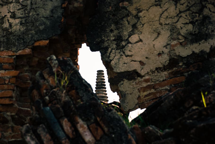 columna, paret, trencat, crack, textura, maó, pedra, llum, espiral, fletxa, grava, Tailàndia, cap gent, rock, sòlid, dia, naturalesa, a l'aire lliure, arquitectura, rock - object, primer pla, estructura construïda, planta, un animal, Color blanc, animal, creixement, funció de construcció de parets, temes d'animals, centrar-se en primer pla, 4K