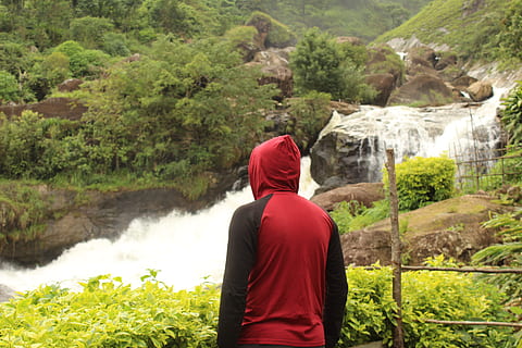 Índia, munnar, una persona, vista del darrere, planta, arbre, adult, naturalesa, aigua, homes, cintura cap amunt, vermell, terra, roba, bosc, dia, roba casual, fum - estructura física, muntanya, escenics - natura, a l'aire lliure, mirant la vista, 5K, CC0, domini públic, lliure de regalies
