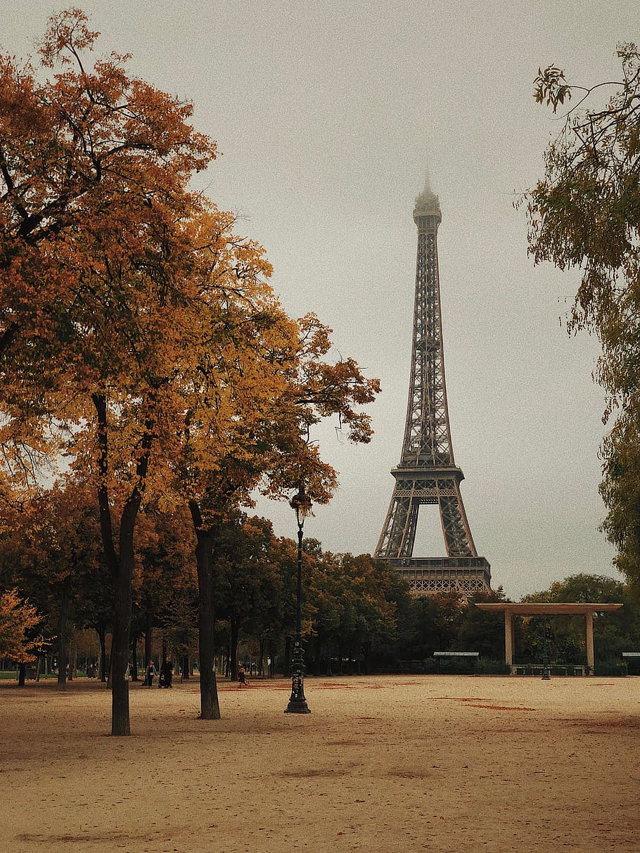 Torre Eiffel, París, França, paris, edifici, campanar, torre, arquitectura, porta, torii, ikebana, gerro, art, flor, ceràmica, planta, ornament, flora, arranjament floral, jar, arbre, estructura construïda, alta - alta, destinacions de viatge, turisme, ciutat, cel, naturalesa, viatjar, història, el passat, tardor, cap gent, dia, exterior de l'edifici, a l'aire lliure, canvi, fletxa, 4K