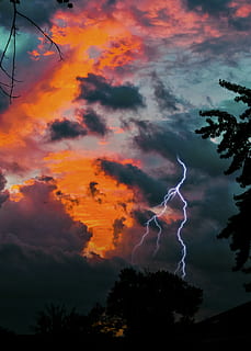 lyn, gylden, time, skyer, daggry, lynnedslag, himmel, solopgang, solnedgang, sky - himmel, storm, skønhed i naturen, magt i naturen, strøm, træ, tordenvejr, plante, natur, lav vinkel visning, dramatisk himmel, silhuet, orange farve, storm sky, forked lightning, ingen mennesker, udendørs, ildevarslende, 4K, CC0, offentligt domæne, royaltyfrie