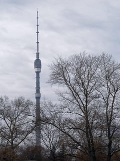 antena, difusió, comunicació, connexió, equipament, marc, global, alt, microones, mòbil, Moscou, xarxa, ostankino, telèfon, radiació, ràdio, receptor, Rússia, satèl·lit, cel, acer, tecnologia, telecomunicacions, televisió, arbres, torre, sense fils, arbre, arbre nu, arquitectura, estructura construïda, alta - alta, exterior de l'edifici, planta, naturalesa, cap gent, branca, vista d’angle baix, núvol - cel, viatjar, dia, edifici, turisme, a l'aire lliure, fletxa, comunicacions globals, 720P, CC0, domini públic, lliure de regalies