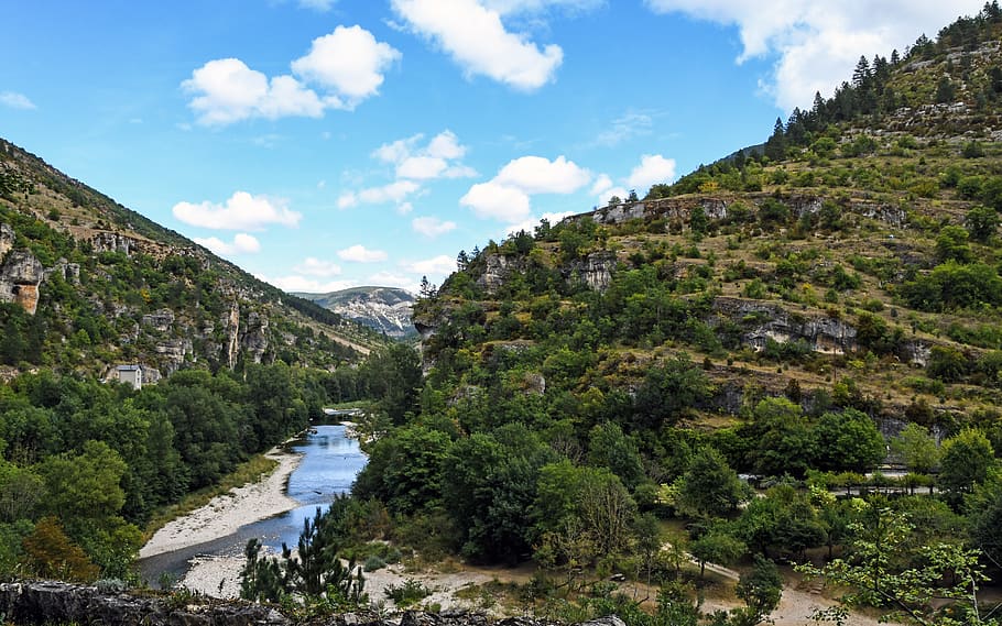 paisatge, roche, riu, arbre, gola, cursos d'aigua, les gorges del tarn, França, aigua, muntanya, planta, escenics - natura, cel, bellesa a la natura, núvol - cel, escena tranquil·la, naturalesa, tranquil·litat, dia, escena no urbana, cap gent, creixement, medi ambient, color verd, idíl·lic, a l'aire lliure, que flueix, aigua que flueix, 5K